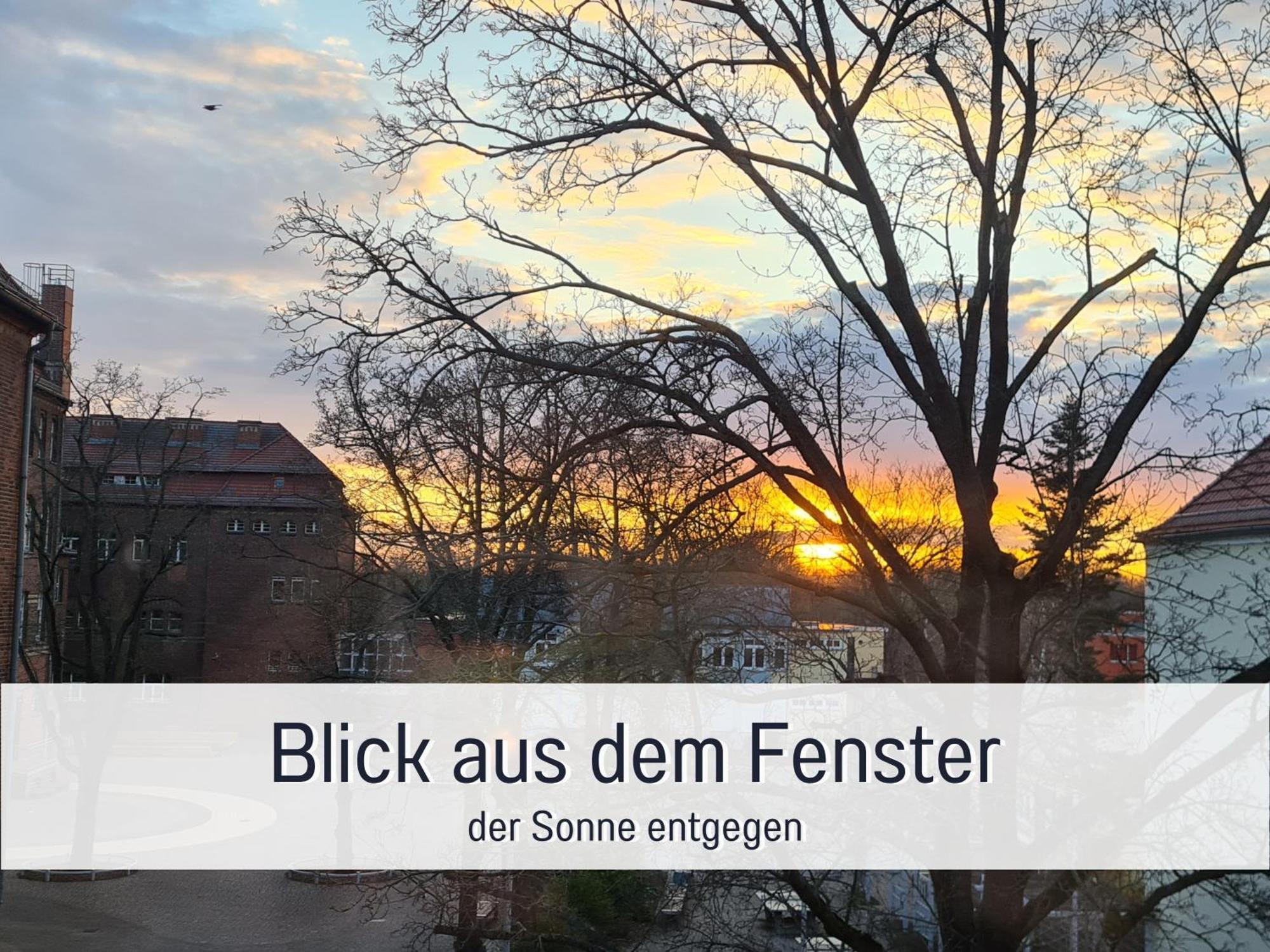 Lichtdurchflutete Moderne Stadtwohnung, Kueche, Waschtrockner, Smarttv Brandenburg  Buitenkant foto